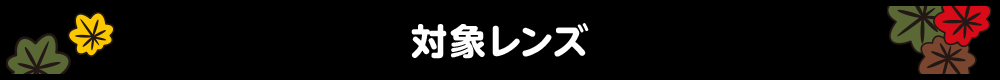 対象レンズ