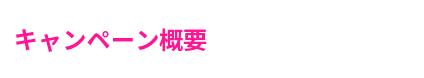 キャンペーン概要
