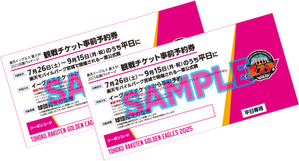 観戦チケット