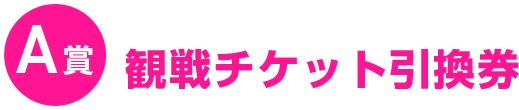 A賞観戦チケット引換券