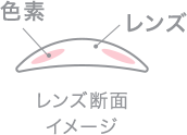 色素レンズレンズ断面イメージ