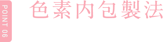 Point6 色素内包製法