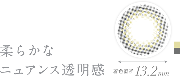 柔らかなニュアンス透明感