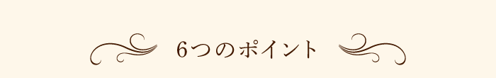 6つのポイント