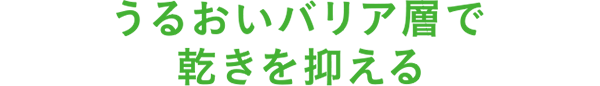 うるおいバリア層で乾きを抑える。