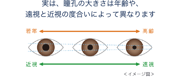 実は、瞳孔の大きさは年齢や、 遠視と近視の度合いによって異なります