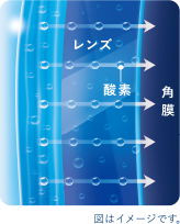 シリコーンハイドロゲルレンズイメージ